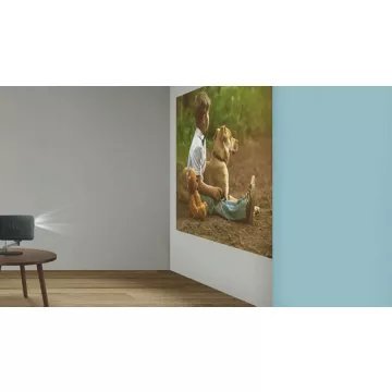 Vidéoprojecteur home cinéma BENQ GP520 – Image 17