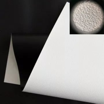 Ecran de projection CELEXON Cadre Mural Expert PureWhite 350x197 cm - Image 3