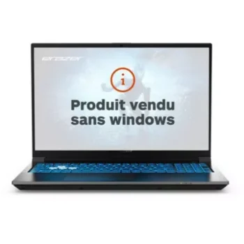 PC Gamer							MEDION				ERAZER Deputy P60 MD62606 sans os