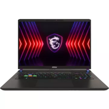 PC Gamer MSI Vector 16 HX A14VIG-299FR