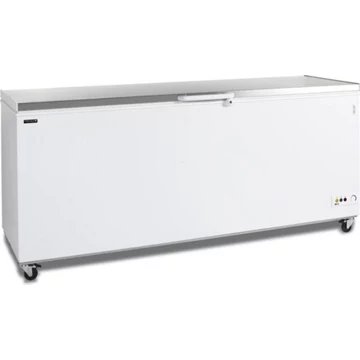 Congélateur pro TEFCOLD 16163