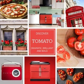 Piano de cuisson induction AGA RAYBURN RANGER TAB IND 100 CM ROUGE - Image 3