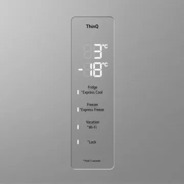 Réfrigérateur combiné LG GBV3110EPY - Image 12